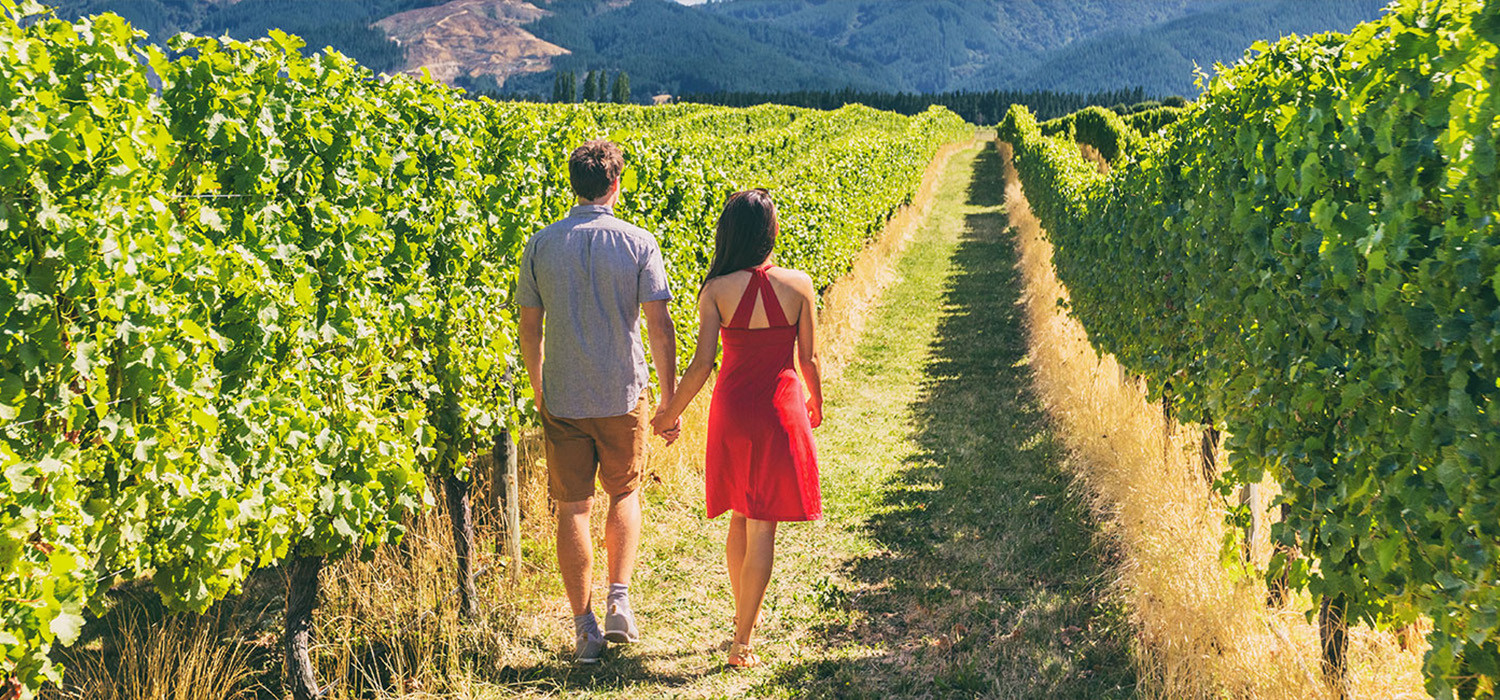 EXCITING THINGS TO DO NEAR HOTEL NAPA VALLEY